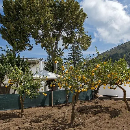 La Limonaia Capri